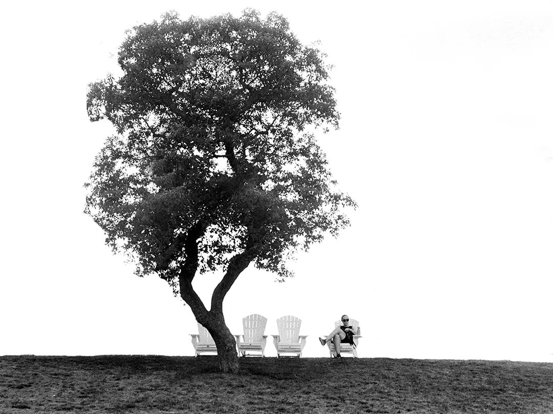 Tree with chairs in a quiet landscape